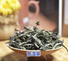 普洱茶福鼎-普洱茶福鼎白茶