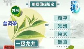 现在茶叶是不是打农？详解视频与教学