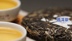 普洱茶能和金银花一起煮吗？详解功效、作用及禁忌