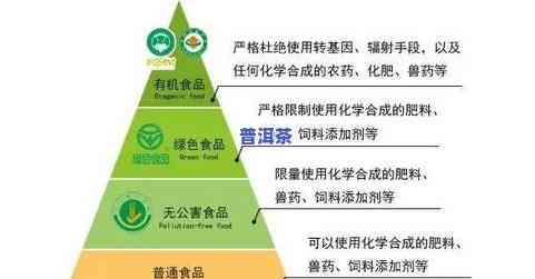 茶叶现在打什么农更好？专业解答帮你选择最合适的农