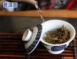 普洱茶能和金银花一起泡吗？了解功效与冲泡方法