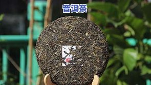 普洱茶工艺流程图片：高清展示从原料采摘到制成成品的全过程