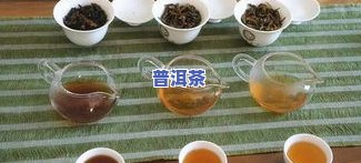 深入了解：茶与普洱茶的紧密关系及其云南对比