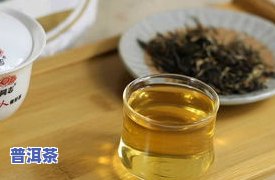 普洱茶存放多久口感更佳？从新茶到陈年老茶，好喝的时间点解析