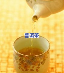 菊花普洱茶的禁忌：功效、副作用及注意事项全解析