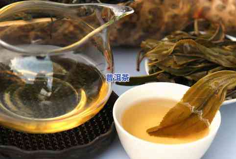 麻黑普洱茶是什么叶种-麻黑普洱茶的特点