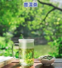 普洱茶适合初学者喝吗-普洱茶适合初学者喝吗