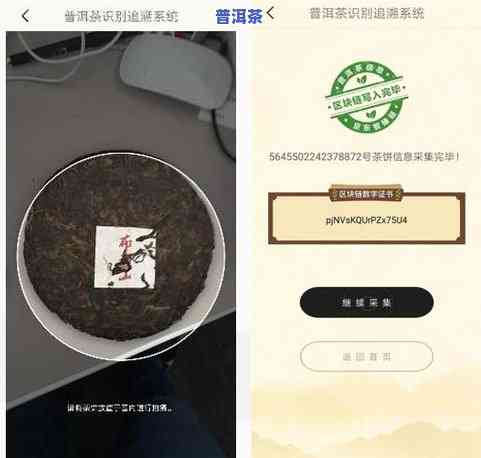 福建定制云南普洱茶怎么样？相关文章、视频全面解析！