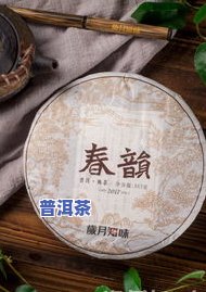 普洱茶达人排行-普洱茶达人排行榜最新