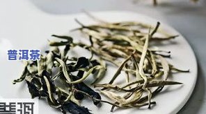 普洱茶分多少种？详解其分类、类型与品种