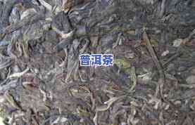 普洱茶生茶冰岛古树茶砖-普洱冰岛古树茶生茶价格