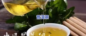 普洱茶生的功效与作用：全面解析及其禁忌