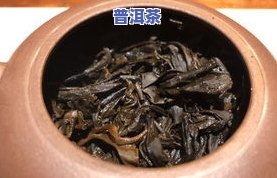 喝普洱茶能减肥吗？女性应怎么喝才能有效果？