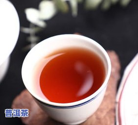 老同志的普洱茶怎么样？全方位解析、口感、价格及加盟信息