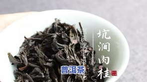 岩韵普洱茶特点是什么样的-岩韵普洱茶特点是什么样的呢