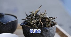 青提普洱茶名字大全：图片、含义全解析