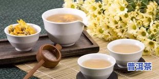 大益普洱茶冲泡要点，掌握大益普洱茶冲泡要点，品味醇厚韵味！