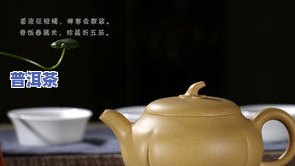 怎样选择合适的壶泡8克普洱茶？