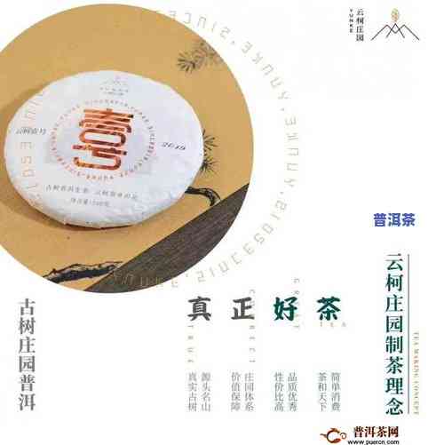 普洱茶的传播发展历史简述-普洱茶的传播发展历史简述怎么写