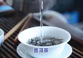 8克普洱茶：重量、体积、茶叶含量、毫克数与陈皮比例全解