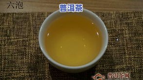 天下普洱茶国：官方网站，产品价格查询及一号茶品信息