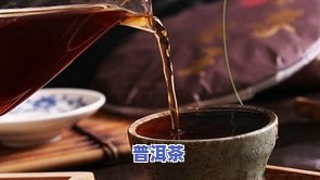 深度观察普洱茶-深度观察普洱茶的感受