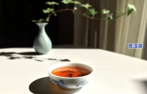 深度观察普洱茶-深度观察普洱茶的感受