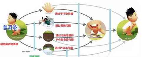 普洱茶寒凉：性状、表现与百科解释