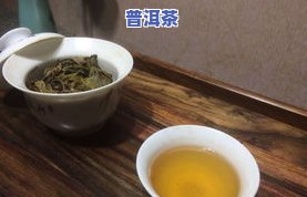 普洱茶怎么泡制更好的方法-普洱茶怎么泡制更好的方法视频