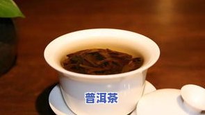 如何泡一杯完美的普洱茶：茶叶用量与技巧解析