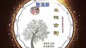 福今普洱茶茶砖-福今普洱茶价格