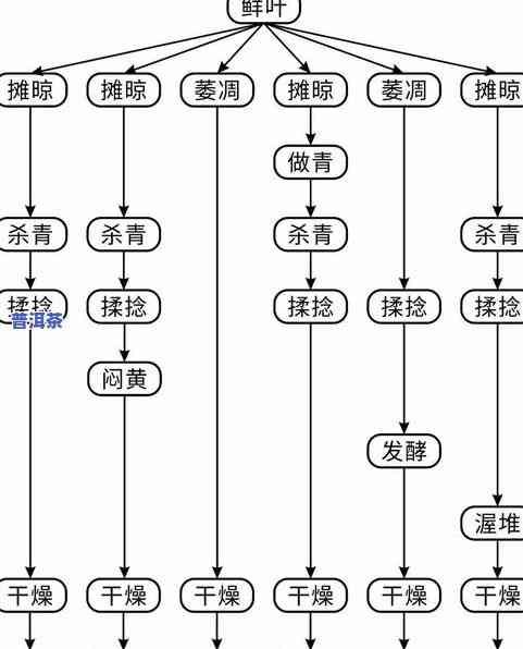 茶叶的基本分类方法-茶叶的基本分类方法有哪些