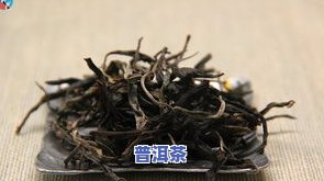 薄荷塘普洱生茶特点：产地、价格与口感解析