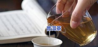 饮料店如何泡好普洱茶？教你泡出好喝的普洱茶方法！