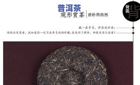 薄荷塘生普价格表：熟悉薄荷塘生普洱茶价格、档次及特点