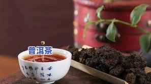 普洱茶原名究竟为何？探究其历史与分类