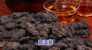 普洱茶真菌素污染：原因、程度及影响