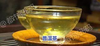 普洱茶真菌素污染：原因、程度及影响