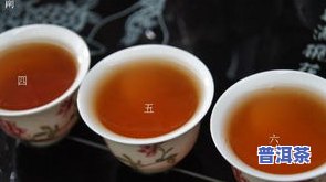 纯干仓茶叶：揭秘纯干仓普洱茶与干仓茶叶的区别