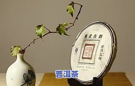 纯干仓茶叶：揭秘纯干仓普洱茶与干仓茶叶的区别