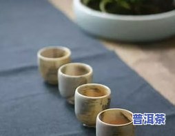 陈家瑞白茶非遗传承人：介绍、及