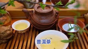 普洱茶家常-普洱茶家常泡法