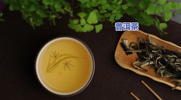 嫩芽味十足的普洱茶：口感怎样？值得购买吗？