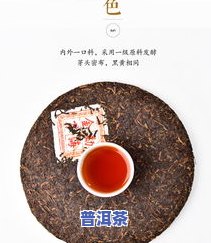 金芽普洱茶：功效、作用、禁忌与副作用全解析