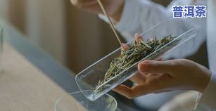 成都人是否热爱饮茶？探究其原因与习惯