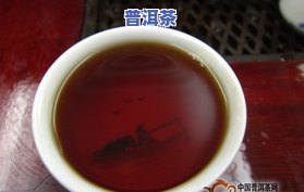 广普洱茶-广州普洱茶场