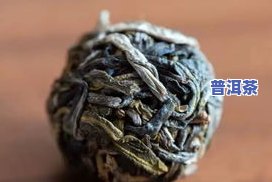 广普洱茶-广州普洱茶场