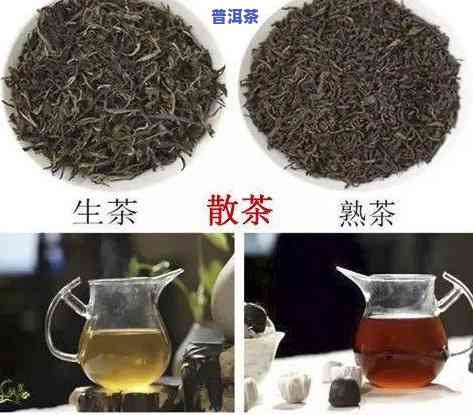 绿普洱茶红普洱茶区别在哪-绿普洱茶红普洱茶区别在哪里