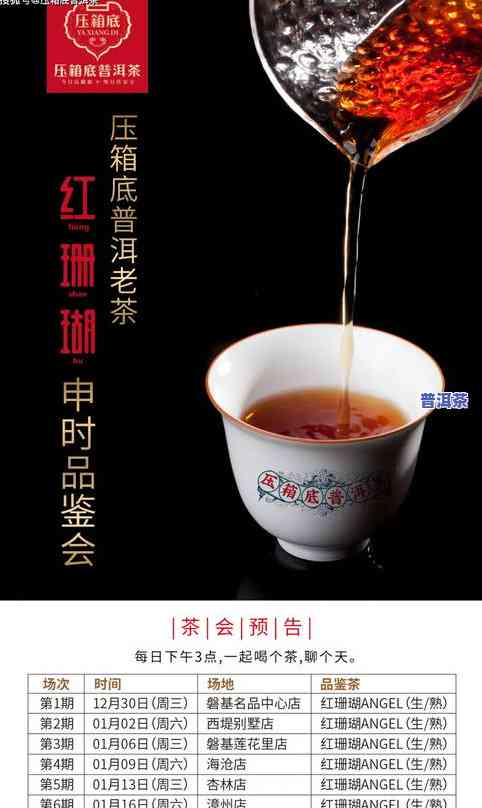 发热普洱茶-普洱茶发烧友