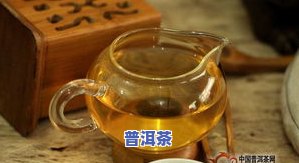 发热普洱茶-普洱茶发烧友